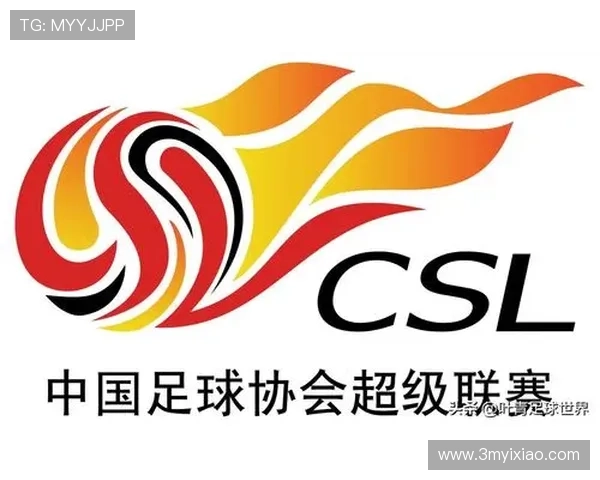 武汉足球队运营模式解析与未来发展展望