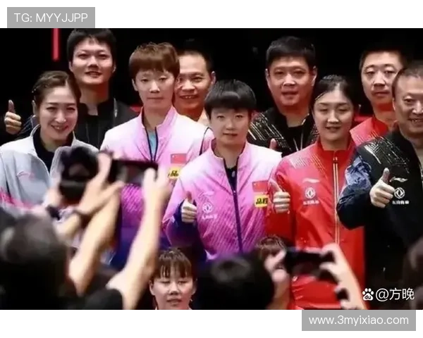 南京乒乓球队总决赛精彩表现分析与比赛经验总结